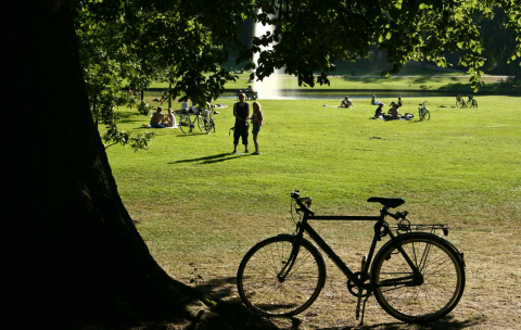 Cykel parkeret i grøn park